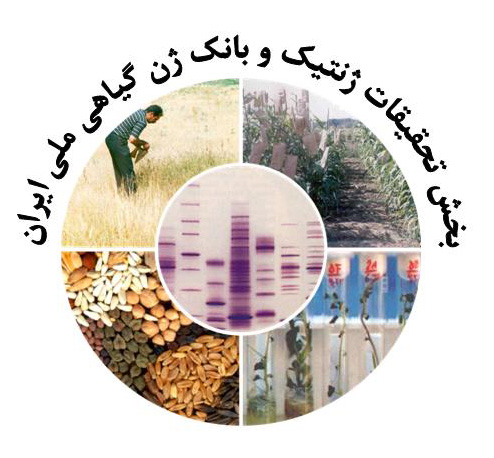 بخش تحقیقات ژنتیک و بانک ژن گیاهی ملی ایران